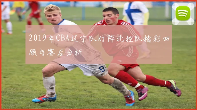 2019年CBA辽宁队对阵北控队精彩回顾与赛后分析